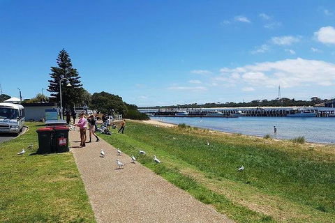 Phillip Island Penguin And Wildlife Tour - Darwin Holiday 25