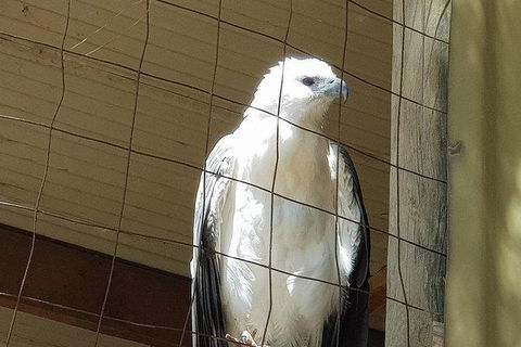 Phillip Island Penguin And Wildlife Tour - Darwin Holiday 21