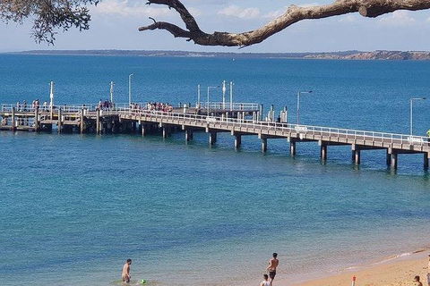 Phillip Island Penguin And Wildlife Tour - Darwin Holiday 2