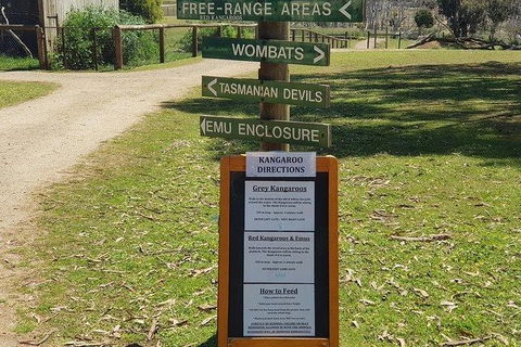 Phillip Island Penguin And Wildlife Tour - Darwin Holiday 4