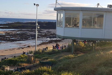 Phillip Island Penguin And Wildlife Tour - Darwin Holiday 33