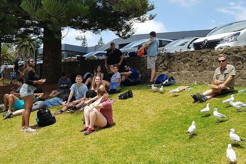 Phillip Island Penguin And Wildlife Tour - Darwin Holiday 22