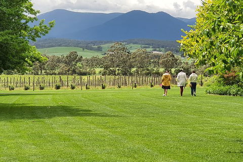 Yarra Valley Wine Tasting Day Tour From Melbourne - Darwin Holiday 6