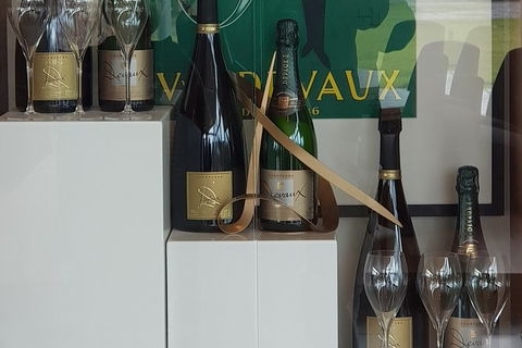 Yarra Valley Wine Tasting Day Tour From Melbourne - Darwin Holiday 2