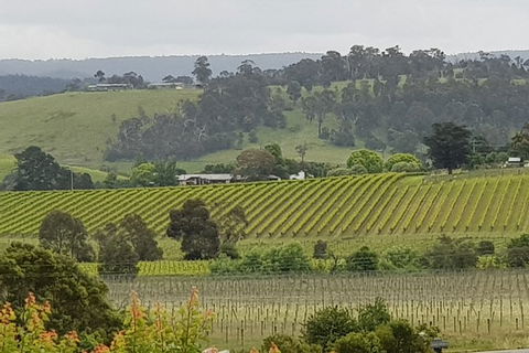 Yarra Valley Wine Tasting Day Tour From Melbourne - Darwin Holiday 0