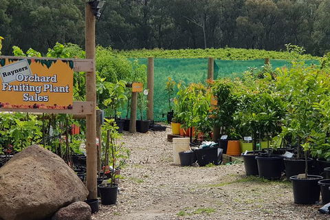Yarra Valley Wineries And Rayners Orchard Tour From Melbourne - Darwin Holiday 0
