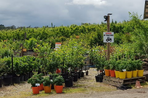 Yarra Valley Wineries And Rayners Orchard Tour From Melbourne - Darwin Holiday 22