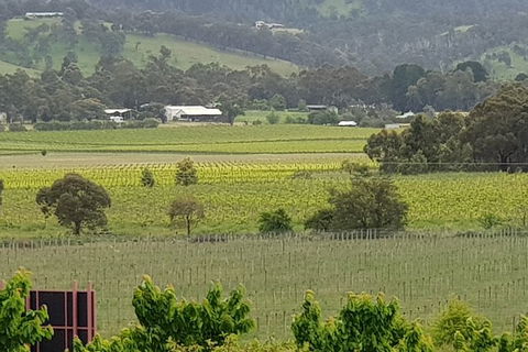Yarra Valley Wineries And Rayners Orchard Tour From Melbourne - Darwin Holiday 2