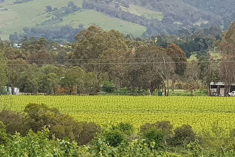 Day Tour Of Yarra Valley Puffing Billy And Rayners Orchard - Darwin Holiday 44