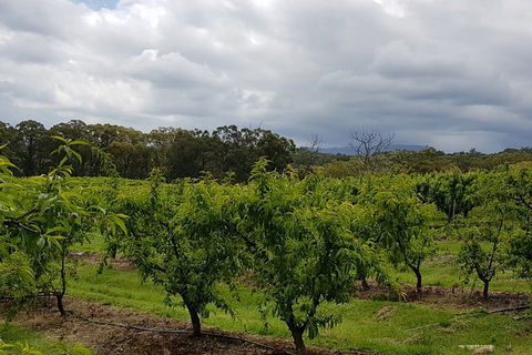 Day Tour Of Yarra Valley Puffing Billy And Rayners Orchard - Darwin Holiday 42