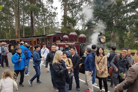 Day Tour Of Yarra Valley Puffing Billy And Rayners Orchard - Darwin Holiday 18