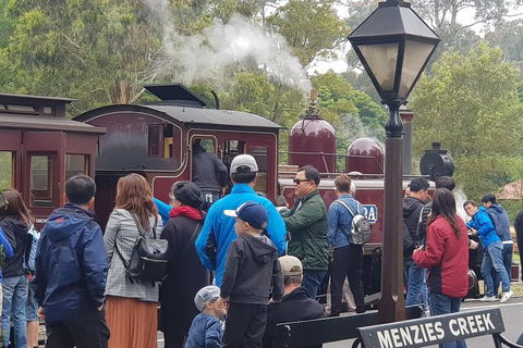 Day Tour Of Yarra Valley Puffing Billy And Rayners Orchard - Darwin Holiday 40