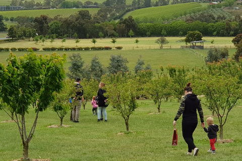 Day Tour Of Yarra Valley Puffing Billy And Rayners Orchard - Darwin Holiday 36