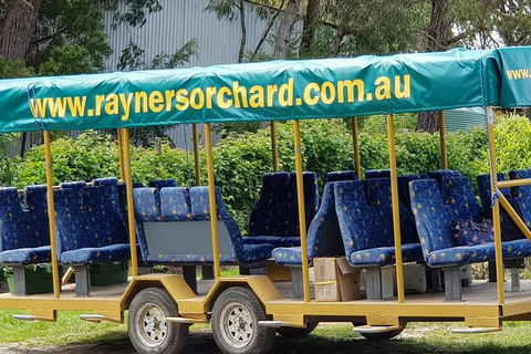 Day Tour Of Yarra Valley Puffing Billy And Rayners Orchard - Darwin Holiday 33