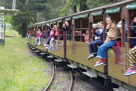 Day Tour Of Yarra Valley Puffing Billy And Rayners Orchard - Darwin Holiday 13