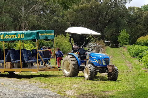 Day Tour Of Yarra Valley Puffing Billy And Rayners Orchard - Darwin Holiday 25