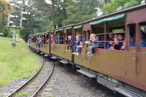 Day Tour Of Yarra Valley Puffing Billy And Rayners Orchard - Darwin Holiday 24