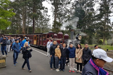 Day Tour Of Yarra Valley Puffing Billy And Rayners Orchard - Darwin Holiday 9