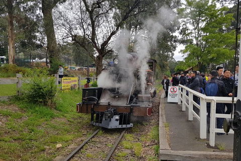 Day Tour Of Yarra Valley Puffing Billy And Rayners Orchard - Darwin Holiday 43