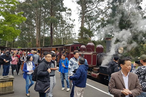 Day Tour Of Yarra Valley Puffing Billy And Rayners Orchard - Darwin Holiday 12