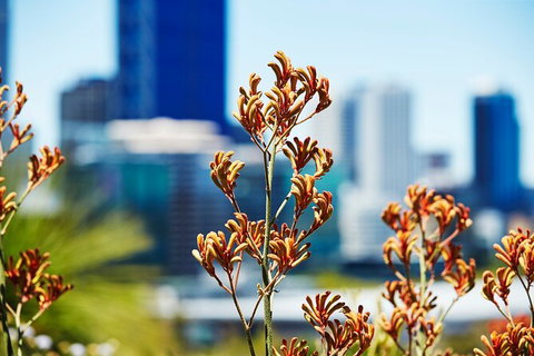 Best Of Perth Wildflower Season Day Trip - Darwin Holiday 4