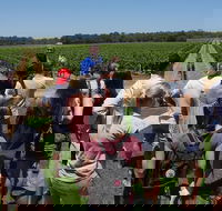 Margaret River Tour The Full Bottle - Darwin Holiday