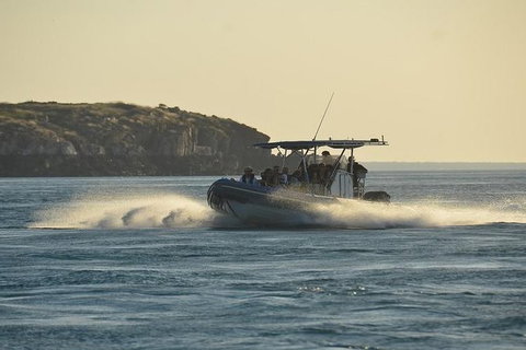 Cape Leveque, Sea Safari And Aboriginal Communities From Broome - Darwin Holiday 6