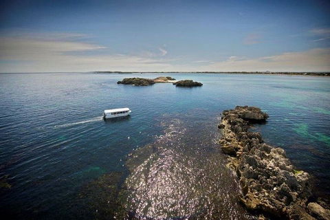 Penguin Island Tour - Darwin Holiday 2