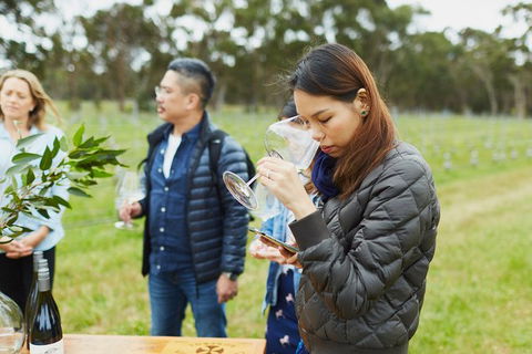 Organic Vineyard/Farm Tour - Darwin Holiday 1