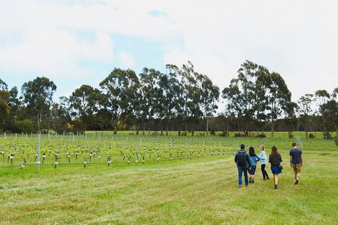 Organic Vineyard/Farm Tour - Darwin Holiday 7