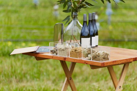 Organic Vineyard/Farm Tour - Darwin Holiday 3