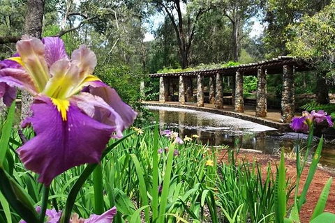 Perth Hills Explorer (Private) Day Tour - Darwin Holiday 35