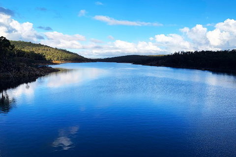 Perth Hills Explorer (Private) Day Tour - Darwin Holiday 9