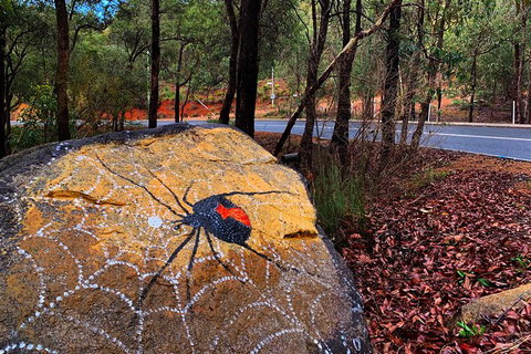 Perth Hills Explorer (Private) Day Tour - Darwin Holiday 17