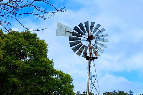 Perth Hills Explorer (Private) Day Tour - Darwin Holiday 27