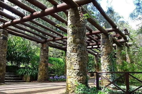 Perth Hills Explorer (Private) Day Tour - Darwin Holiday 34