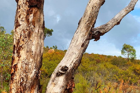 Perth Hills Explorer (Private) Day Tour - Darwin Holiday 36