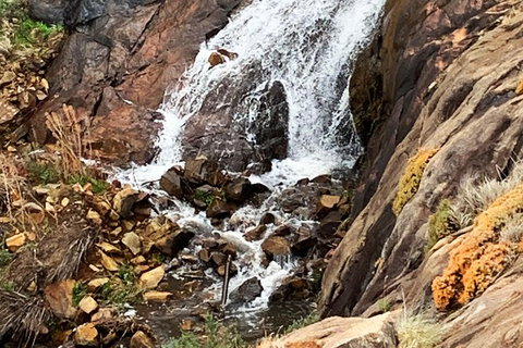 Perth Hills Explorer (Private) Day Tour - Darwin Holiday 19