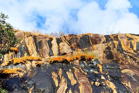 Perth Hills Explorer (Private) Day Tour - Darwin Holiday 2