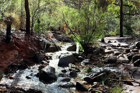 Perth Hills Explorer (Private) Day Tour - Darwin Holiday 13