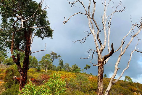 Perth Hills Explorer (Private) Day Tour - Darwin Holiday 33