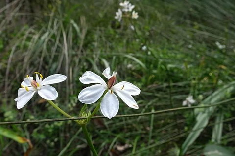 Perth Hills Explorer (Private) Day Tour - Darwin Holiday 30