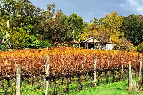 Perth Hills Explorer (Private) Day Tour - Darwin Holiday 32