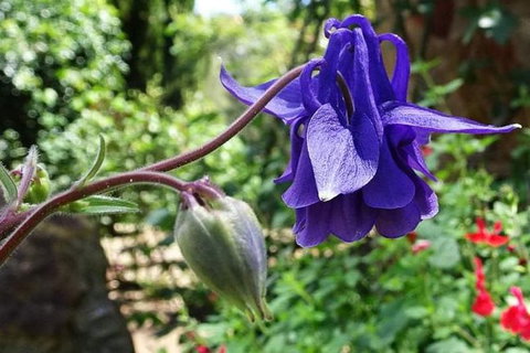 Perth Hills Explorer (Private) Day Tour - Darwin Holiday 31