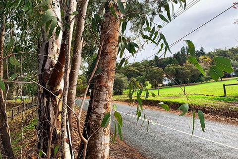 Perth Hills Explorer (Private) Day Tour - Darwin Holiday 28