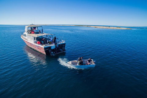 Abrolhos Islands 4 Day Fishing Charter - Darwin Holiday 0