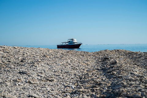 Abrolhos Islands 4 Day Fishing Charter - Darwin Holiday 1