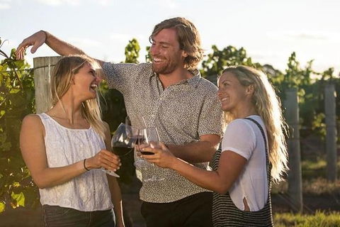 Full-Day Tour In Margaret River: Wine, Coffee, Cheese - Darwin Holiday 4