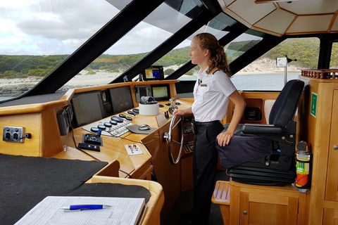 Full-Day Killer Whale Expedition From Albany - Darwin Holiday 4