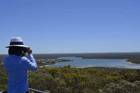 Full-Day Killer Whale Expedition From Albany - Darwin Holiday 5